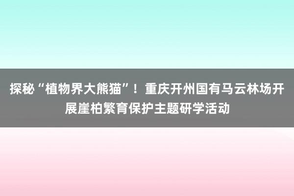 探秘“植物界大熊猫”！重庆开州国有马云林场开展崖柏繁育保护主题研学活动