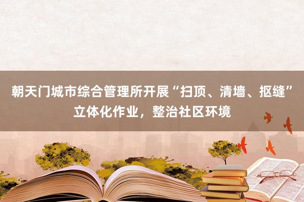 朝天门城市综合管理所开展“扫顶、清墙、抠缝”立体化作业，整治社区环境