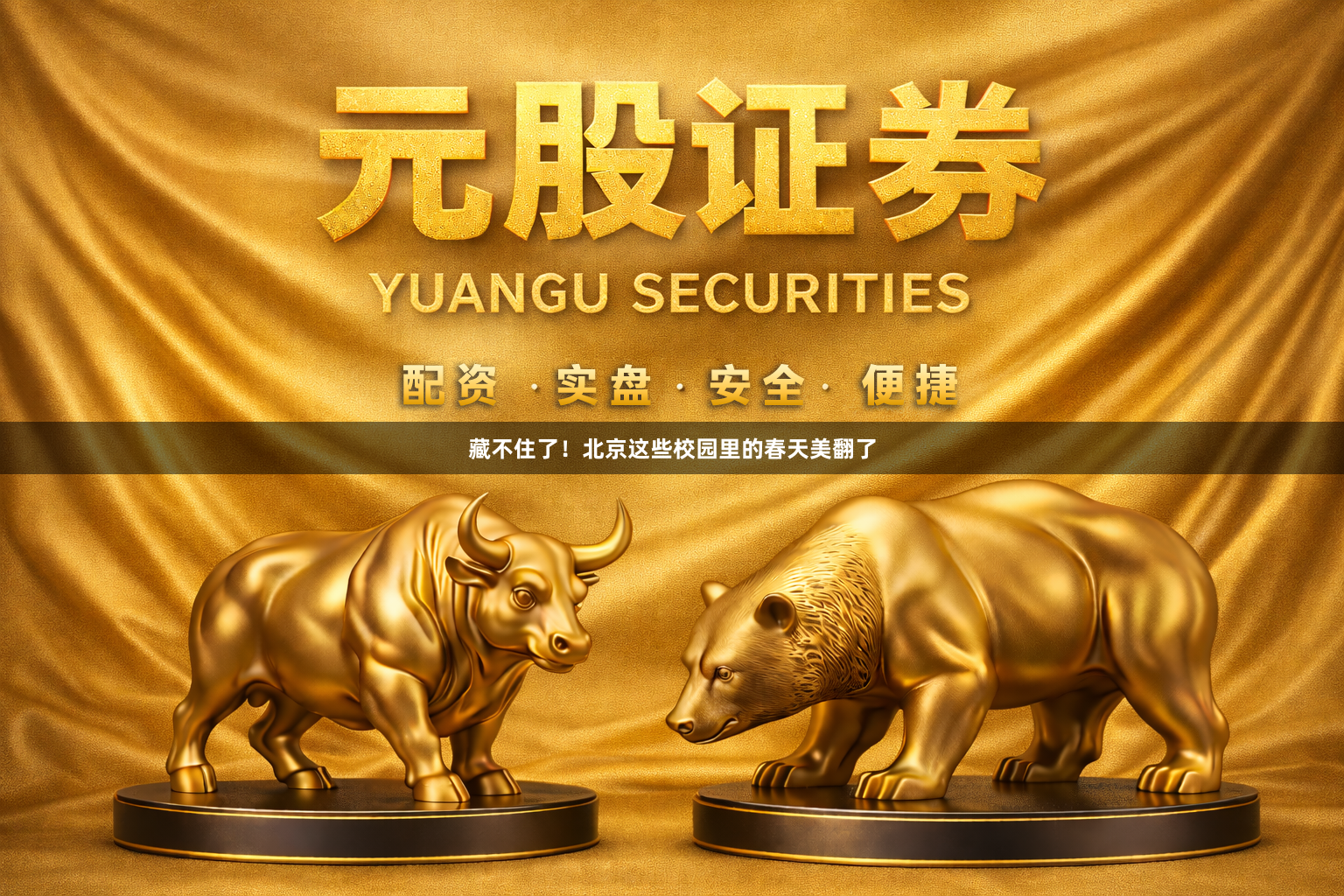 藏不住了！北京这些校园里的春天美翻了