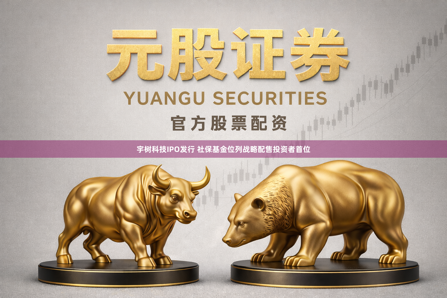 宇树科技IPO发行 社保基金位列战略配售投资者首位