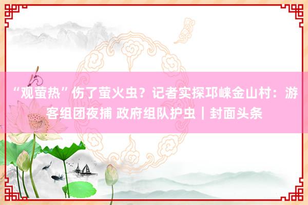 “观萤热”伤了萤火虫？记者实探邛崃金山村：游客组团夜捕 政府组队护虫｜封面头条