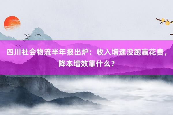 四川社会物流半年报出炉：收入增速没跑赢花费，降本增效靠什么？