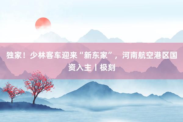 独家！少林客车迎来“新东家”，河南航空港区国资入主丨极刻