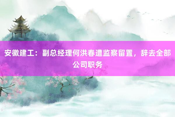 安徽建工：副总经理何洪春遭监察留置，辞去全部公司职务