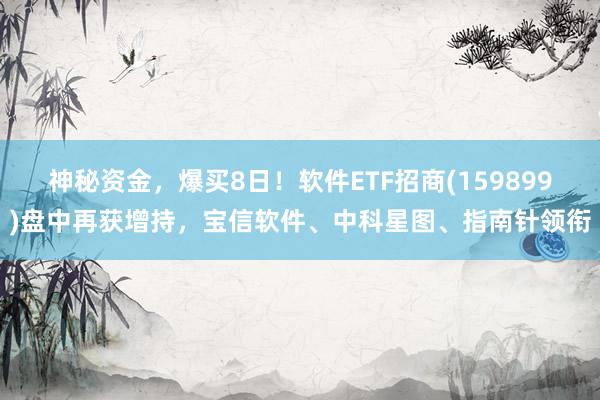 神秘资金,爆买8日!软件ETF招商(159899)盘中再获增持,宝信软件、中科星图、指南针领衔