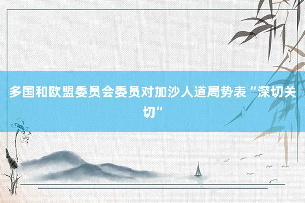 多国和欧盟委员会委员对加沙人道局势表“深切关切”