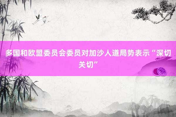 多国和欧盟委员会委员对加沙人道局势表示“深切关切”