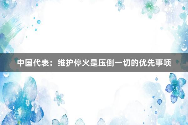 中国代表：维护停火是压倒一切的优先事项