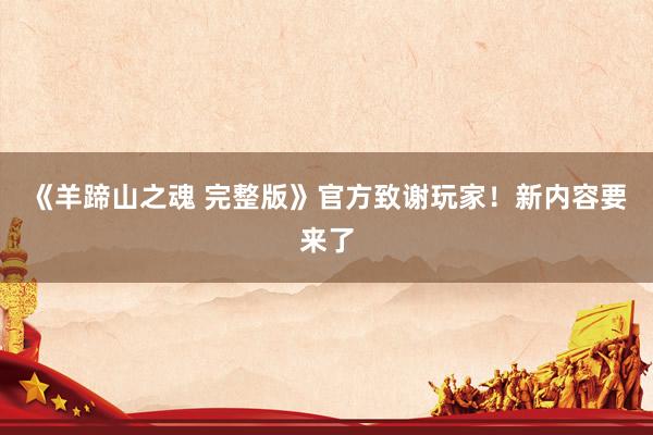 《羊蹄山之魂 完整版》官方致谢玩家！新内容要来了