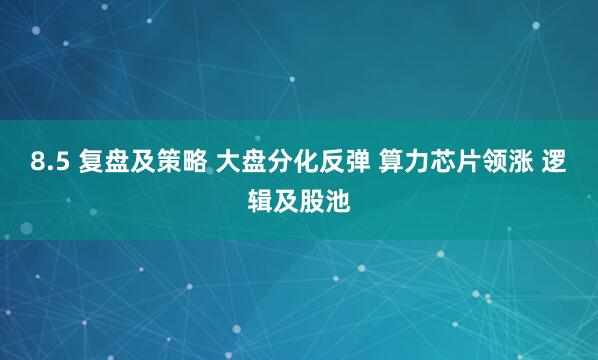 8.5 复盘及策略 大盘分化反弹 算力芯片领涨 逻辑及股池