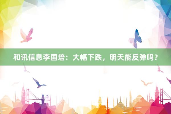和讯信息李国培：大幅下跌，明天能反弹吗？