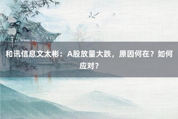 和讯信息文太彬：A股放量大跌，原因何在？如何应对？