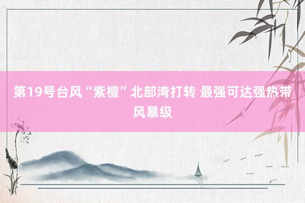 第19号台风“紫檀”北部湾打转 最强可达强热带风暴级