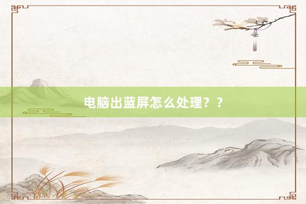 电脑出蓝屏怎么处理？？