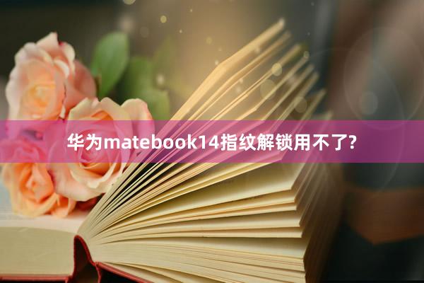 华为matebook14指纹解锁用不了?