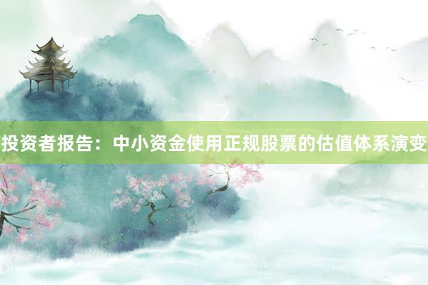 投资者报告：中小资金使用正规股票的估值体系演变