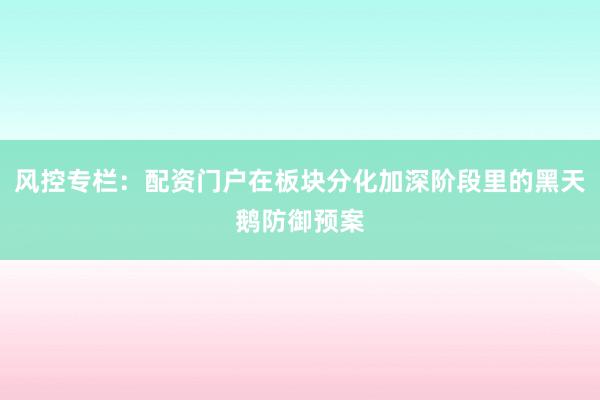 风控专栏：配资门户在板块分化加深阶段里的黑天鹅防御预案