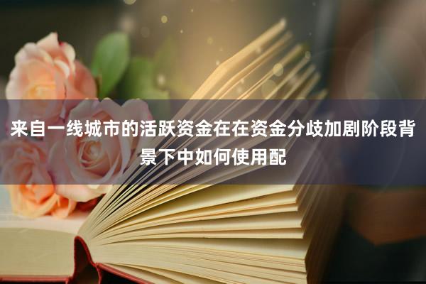 来自一线城市的活跃资金在在资金分歧加剧阶段背景下中如何使用配