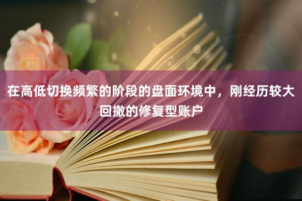 在高低切换频繁的阶段的盘面环境中,刚经历较大回撤的修复型账户
