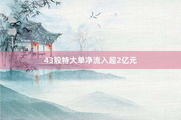 43股特大单净流入超2亿元