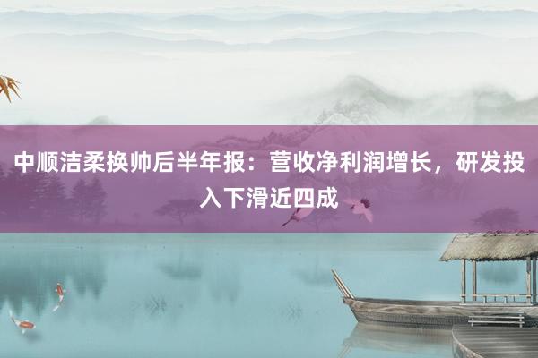 中顺洁柔换帅后半年报：营收净利润增长，研发投入下滑近四成