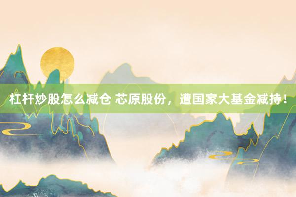 杠杆炒股怎么减仓 芯原股份，遭国家大基金减持！