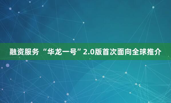 融资服务 “华龙一号”2.0版首次面向全球推介