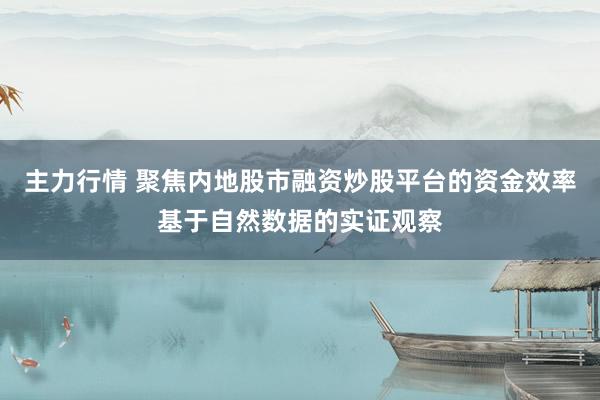 主力行情 聚焦内地股市融资炒股平台的资金效率基于自然数据的实证观察