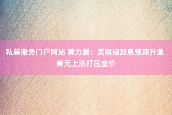 私募服务门户网站 黄力晨：美联储加息预期升温 美元上涨打压金价