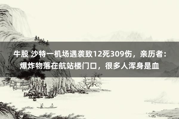 牛股 沙特一机场遇袭致12死309伤，亲历者：爆炸物落在航站楼门口，很多人浑身是血