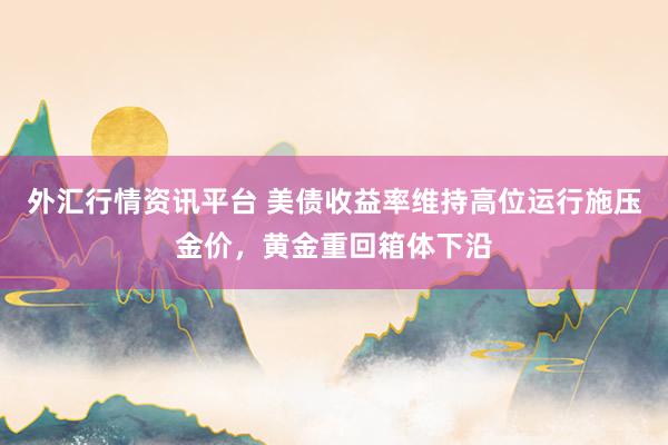 外汇行情资讯平台 美债收益率维持高位运行施压金价，黄金重回箱体下沿